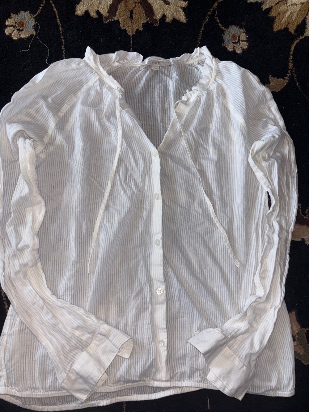 Loft Sheer Blouse